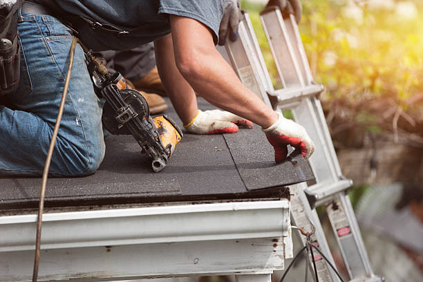 Best Flat Roof Repair Services  in Grass Lake, MI