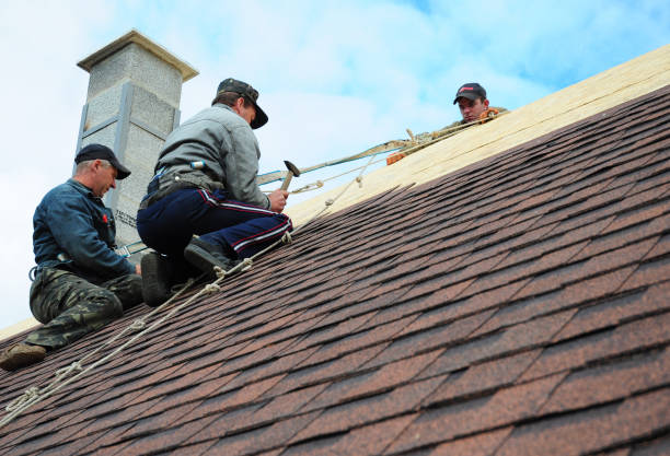 Best Residential Roofing Contractor  in Grass Lake, MI